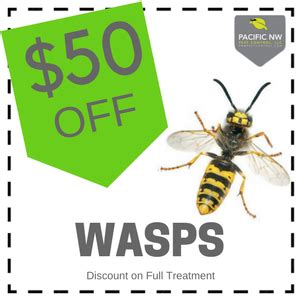 wasps exterminator delaware coupons